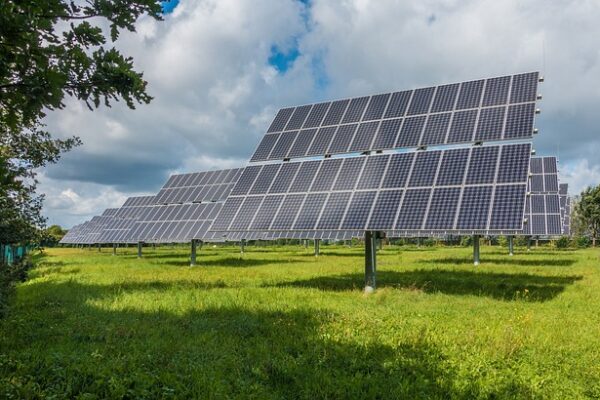 Solar panels in a field.