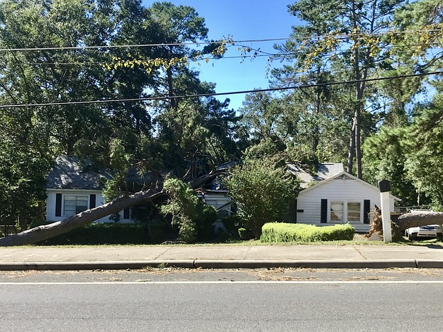 Tree fallen onto house.