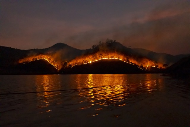 Wildfire across hillside.