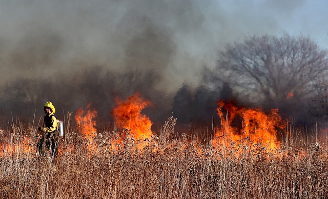 Wildfire in field with tall grass.